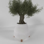 Obtuse Stand - Large Luxury Concrete Stand Planter