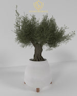 Obtuse Stand - Large Luxury Concrete Stand Planter